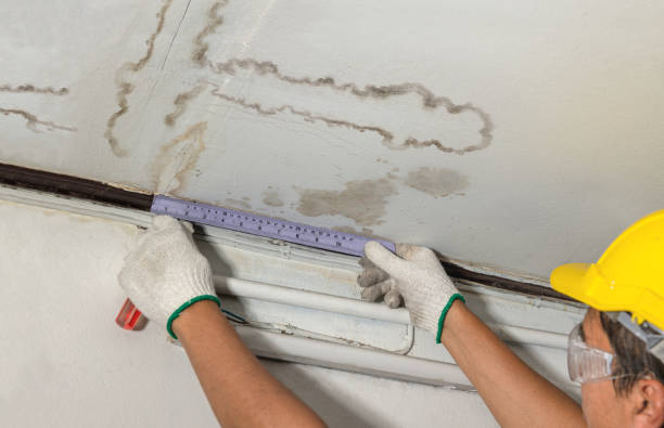 Reliable Mold Remediation contractor in Lawrence, KS by Water Damage Irwin
